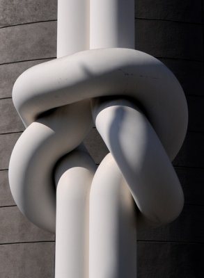 The Friendship Knot