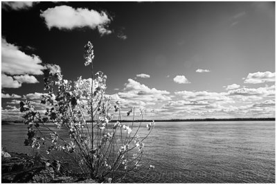 Another cloudscape.