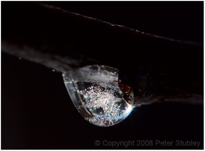 Frozen drop.