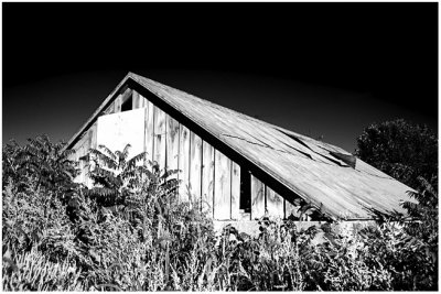 Abandoned barn (pt 2)