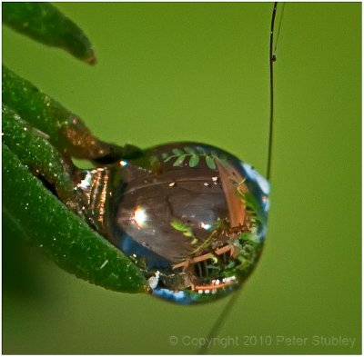 Deck in a drop.