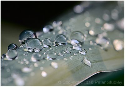 Refraction and reflection.