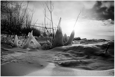 Ice sculptures.
