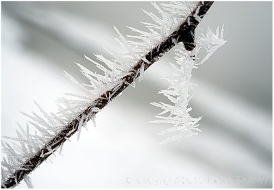 Hoar frost hanging around.