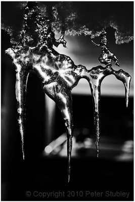 Night icicles.