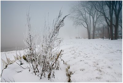 Winterscape.