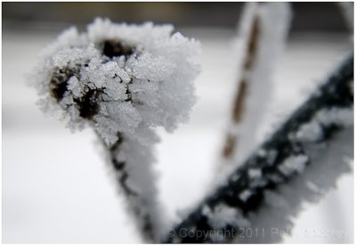 More hoar frost.
