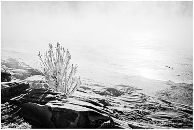 Brume de mer, encore une fois.