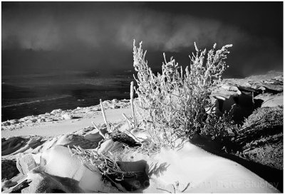 Black and white frost.