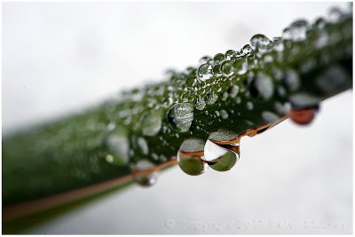Cold drops.