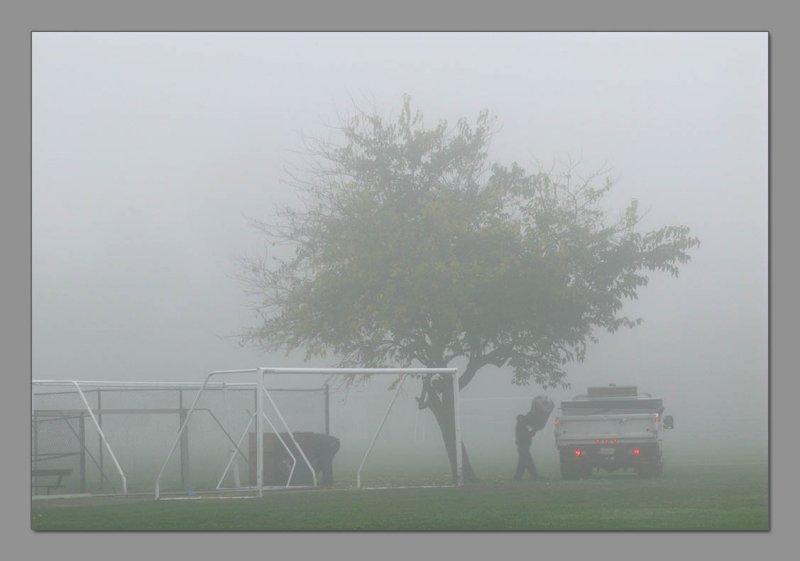 Early foggy morning in the park