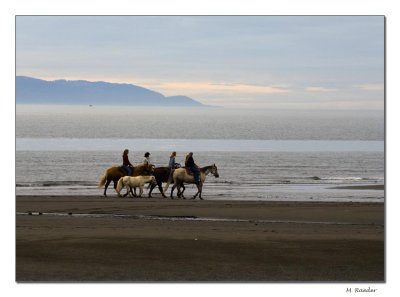 Morning Stroll_