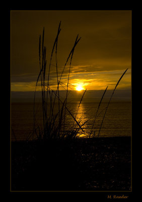 Sunset_