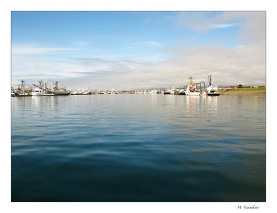 Homer Harbor