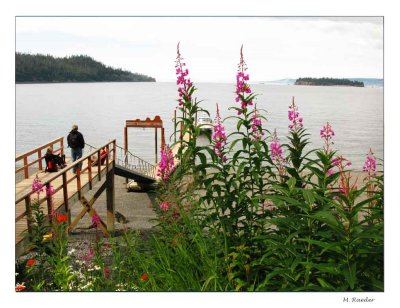 Otter Cove