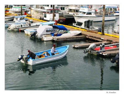 Homer Harbor