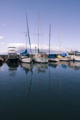 Lahaina harbor