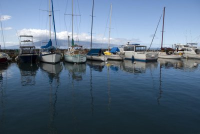 Lahaina harbor