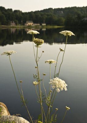 Mahone Bay