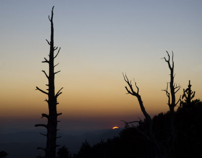 Sunrise at the White Mountains