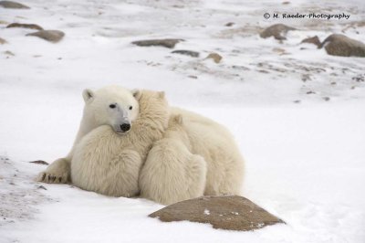 A Mother's Love