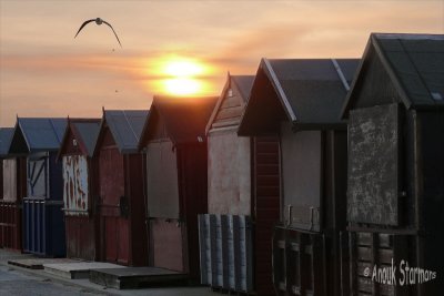 Beach houses at sunset