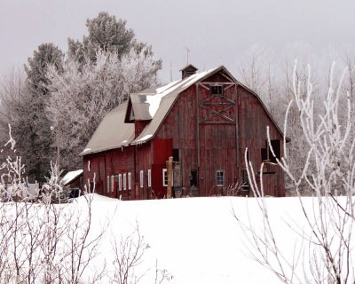 FROSTED MORNING