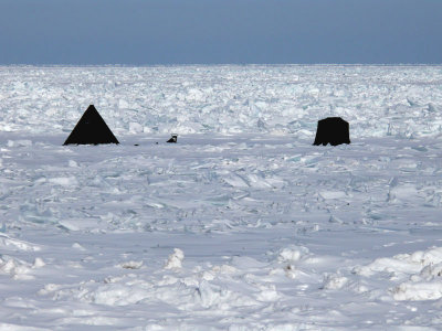 Extreme Ice Fishing
