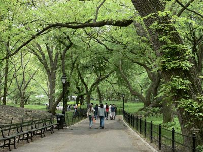 Springtime in Central Park