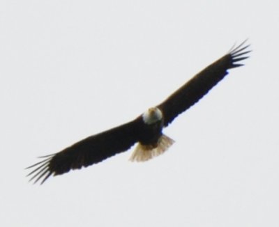 g1/19/698019/3/125652536.dPoE7fNw.jpg