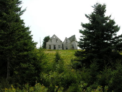 The old home