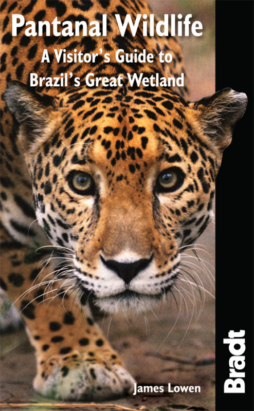 Pantanal wildlife: a visitors guide to Brazils great wetland