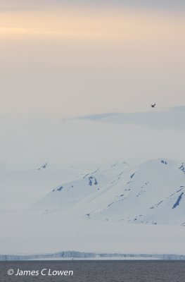 Svalbard