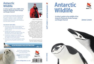 Antarctic wildlife