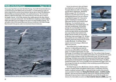 Drake Passage wildlife