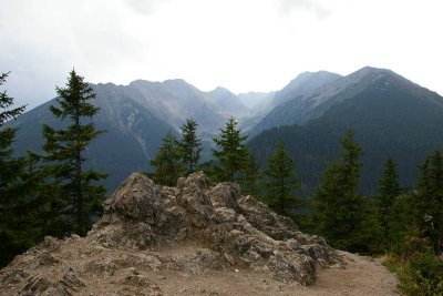 g1/19/740719/3/109614471.8xokB8iF.jpg