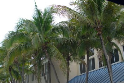 GCL_3378.jpg
