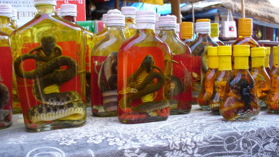 One of the items for sale, liquor bottled with cobras and scorpions.  Pierre turned down a sample.