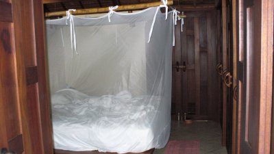 In the evenings, the staff would close the shutters and put mosquito smoke pots around the bed.