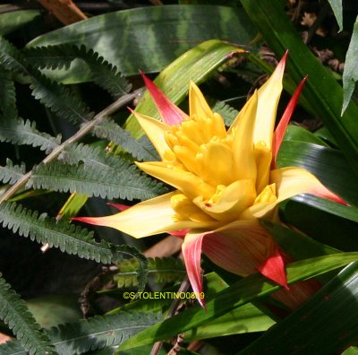 KONA09_IMG_4302.jpg