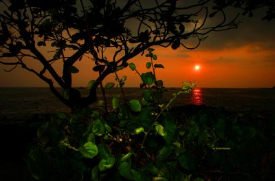 KONA09_IMG_4616.jpg