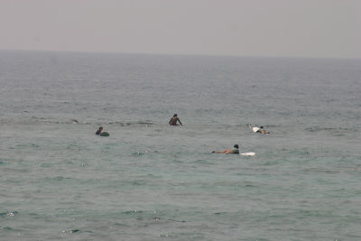 KONA09_IMG_4646.jpg
