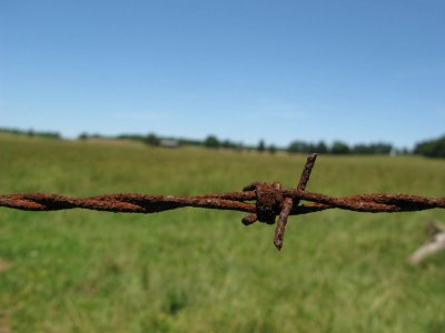 Barbed Wire.JPG