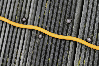 Amsterdam-Electric Cord on Dock.JPG