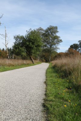 77B-Hoge Veluwe Bike Path 2.JPG