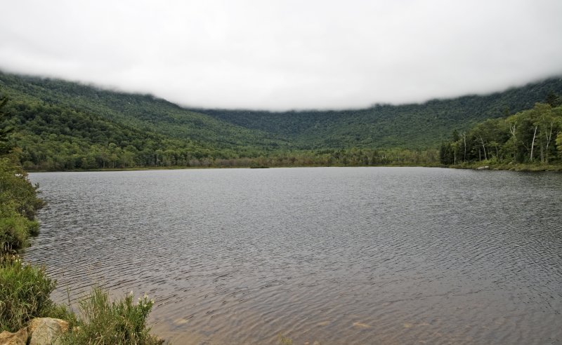 Low ceiling at the pond