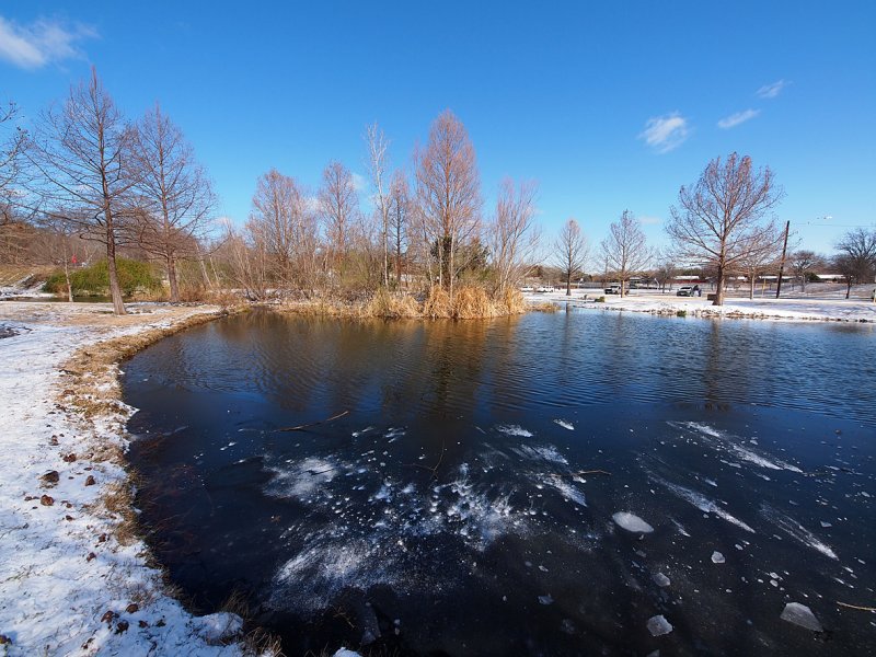 P2047285 - Winter at Nothwest Park.jpg