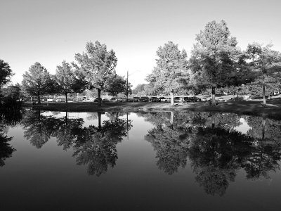 PA185962 - Afternoon Reflections.jpg