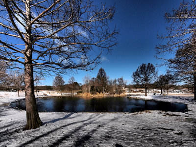 P2047282 - Winter at Northwest Park.jpg