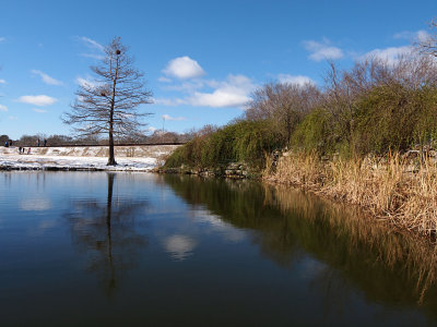 P2047301 - Winter Reflections.jpg